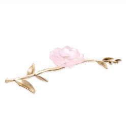 Camellia Ornamental Flower, Pink