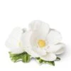 Cosmos Porcelain Flower, White 2 Cosmos Porcelain Flower, White -Home Decor Shop 22122042 cosmos porcelain flower cream 2711 0490
