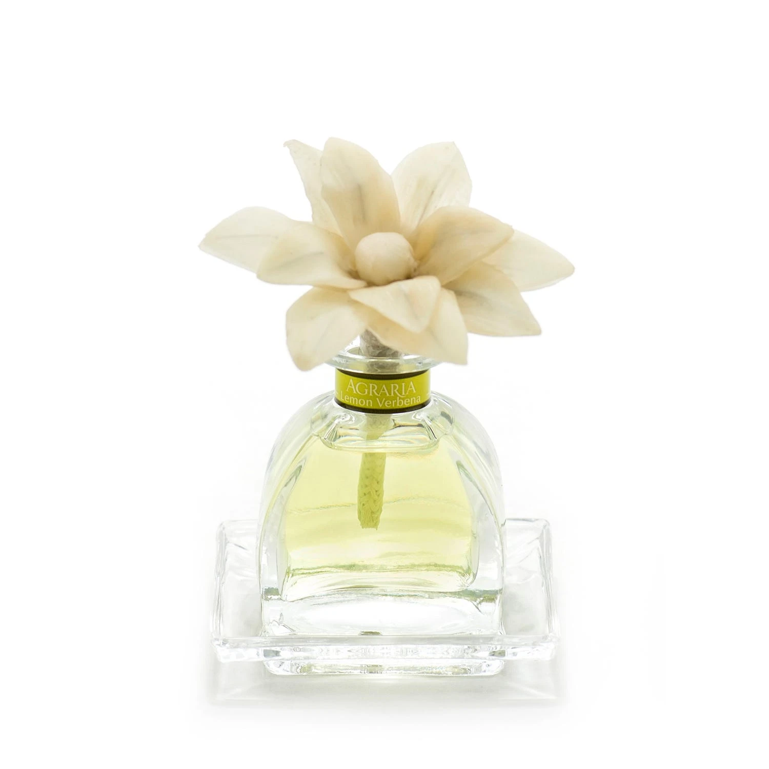 Lemon Verbena Petite Essence 3 Lemon Verbena Petite Essence