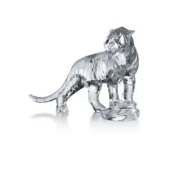 Roaring Bengal Tiger