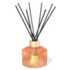 Tuileries Diffuser 2 Tuileries Diffuser -Home Decor Shop 42 3302 trudon tuileries diffuser