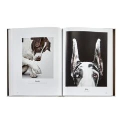 Good Dog: A Collection Of Portraits Book, Leather Bound 15 Good Dog: A Collection Of Portraits Book, Leather Bound -Home Decor Shop 42 3615 bssdogsbndivy 12