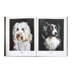 Good Dog: A Collection Of Portraits Book, Leather Bound 11 Good Dog: A Collection Of Portraits Book, Leather Bound -Home Decor Shop 42 3615 bssdogsbndivy 5