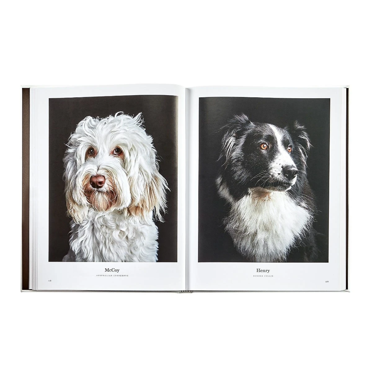 Good Dog: A Collection Of Portraits Book, Leather Bound 5 Good Dog: A Collection Of Portraits Book, Leather Bound - Image 3
