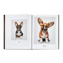 Good Dog: A Collection Of Portraits Book, Leather Bound 12 Good Dog: A Collection Of Portraits Book, Leather Bound -Home Decor Shop 42 3615 bssdogsbndivy 7