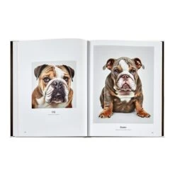 Good Dog: A Collection Of Portraits Book, Leather Bound 13 Good Dog: A Collection Of Portraits Book, Leather Bound -Home Decor Shop 42 3615 bssdogsbndivy 8