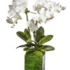 White Triple Orchid In Glass Bowl -Home Decor Shop 42 3734
