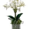 Miniature White Orchid In Cube -Home Decor Shop 42 3740