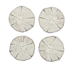 Birch Coaster, Ivory & Natural, Set Of 4