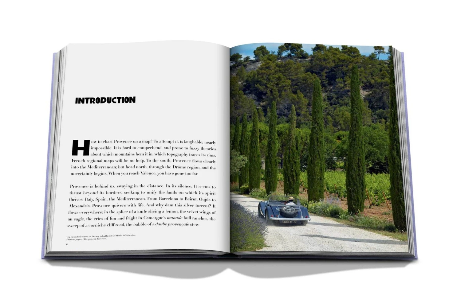 Assouline Provence Glory Book 6 Assouline Provence Glory Book - Image 4