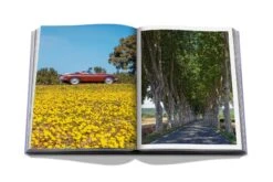 Assouline Provence Glory Book 14 Assouline Provence Glory Book -Home Decor Shop assouline provence glory book 2799 0889 5
