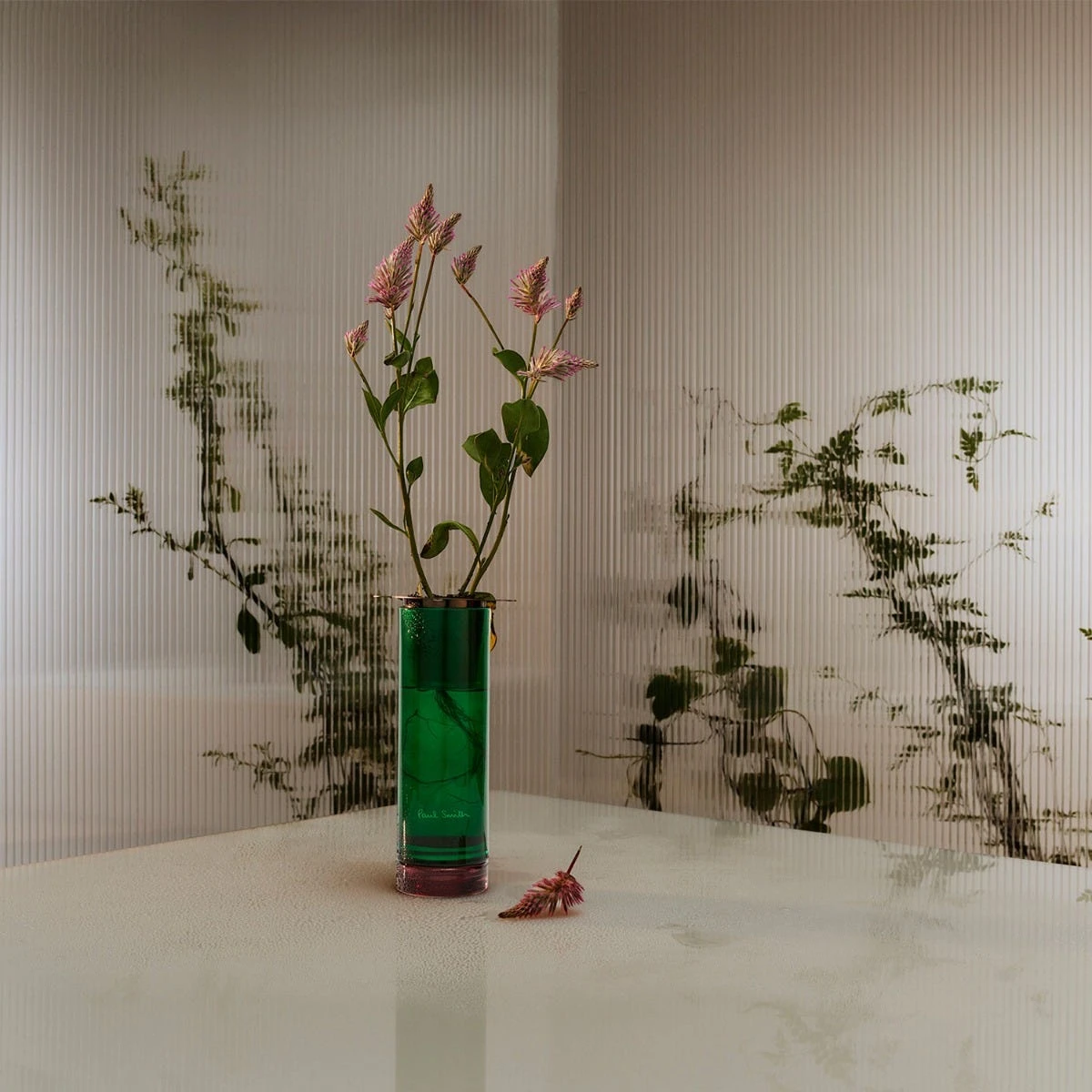 PAUL SMITH Botanist Diffuser 5 PAUL SMITH Botanist Diffuser - Image 3