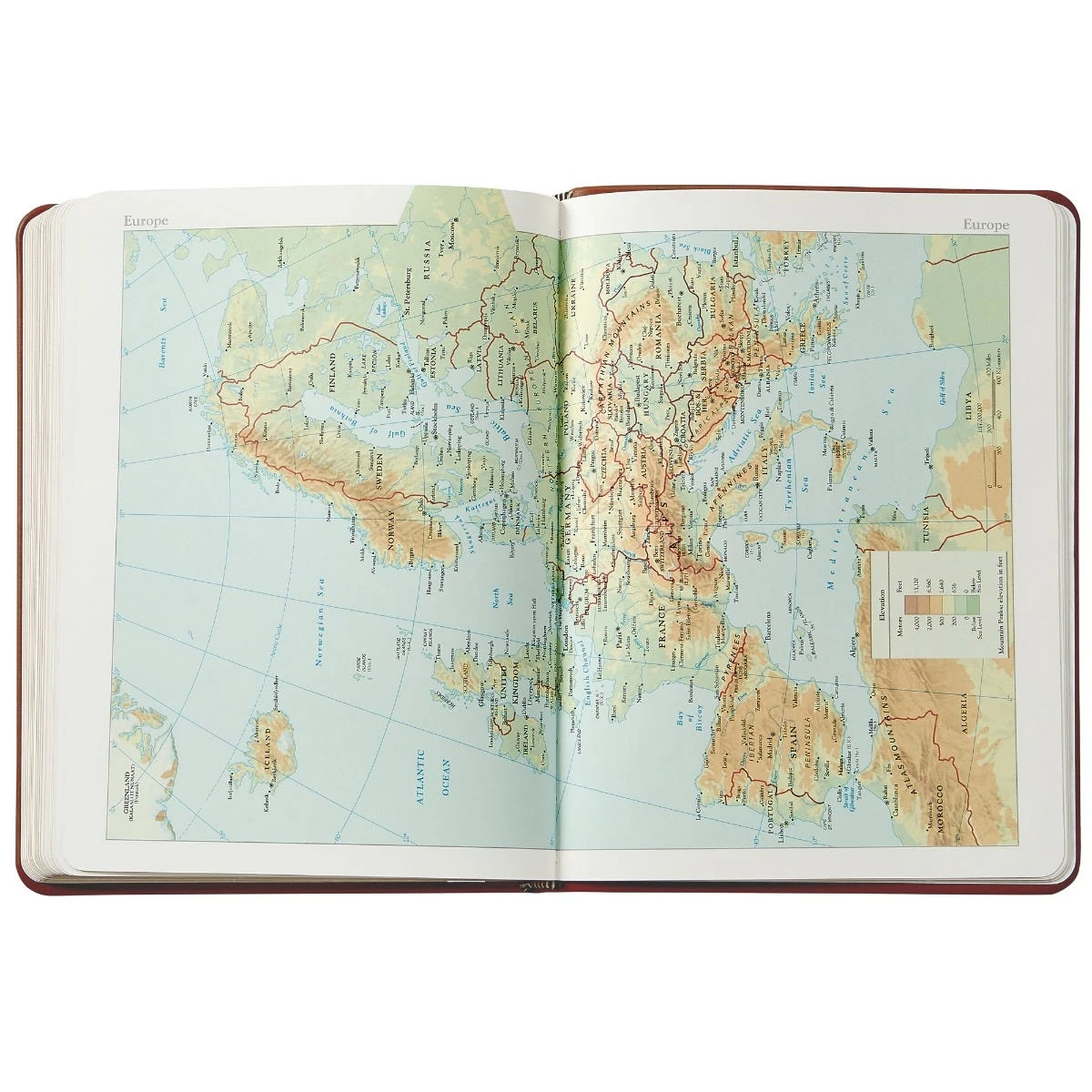 Desk Diary, Taupe Crocodile Print Leather 8 Desk Diary, Taupe Crocodile Print Leather - Image 6