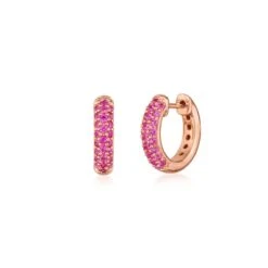 Moonlight Petite Hoop Earrings With Rubies