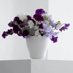 Pulse Vase, Medium 8 Pulse Vase, Medium -Home Decor Shop heringberlin pulse vase med 2603 0009 lifestyle a