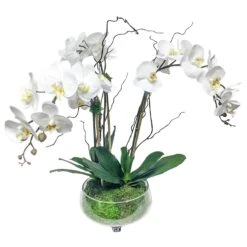 Orchids In Glass Footed Bowl