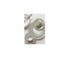 Haviland C. Parlon -Home Decor Shop linae grey dinnerware