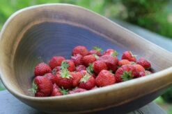 Live Edge Black Walnut Bowl 11 Live Edge Black Walnut Bowl -Home Decor Shop live edge bowl black walnut lifestyle 1