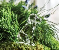 Puppy, Gift Boxed 10 Puppy, Gift Boxed -Home Decor Shop puppy in a gift box lifestyle 1