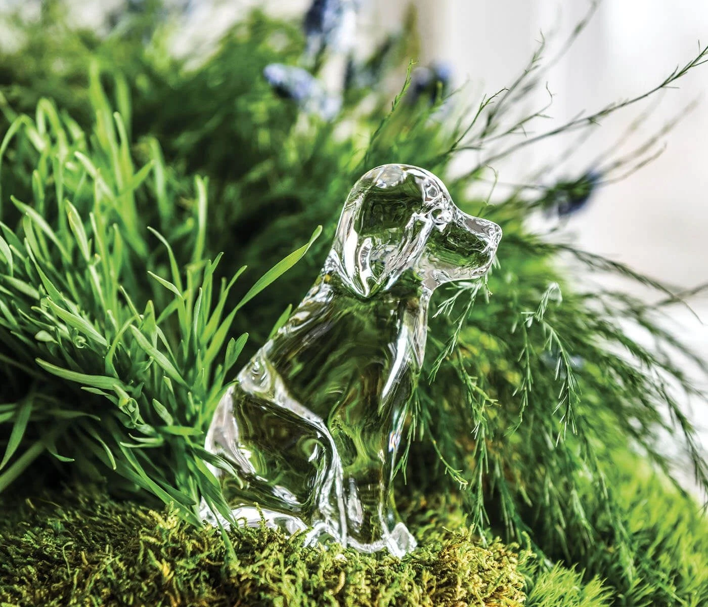 Puppy, Gift Boxed 5 Puppy, Gift Boxed - Image 3