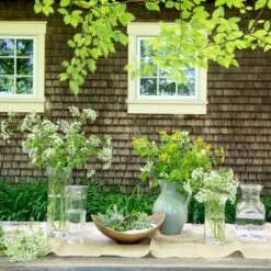 Woodbury Vase -Home Decor Shop woodbury vase lifestyle